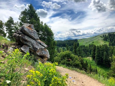 Take An Easy Out-And-Back Trail To Enter Another World At Drinking Horse Trail In Montana