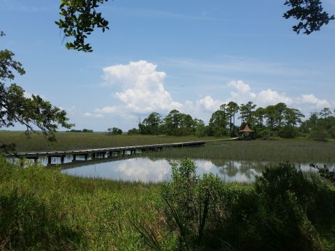 Hunting Island State Park In South Carolina Has A Boardwalk That Leads To A Secret Marsh