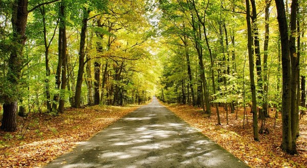 The 12 Best Backroads In Wisconsin For A Long Scenic Drive