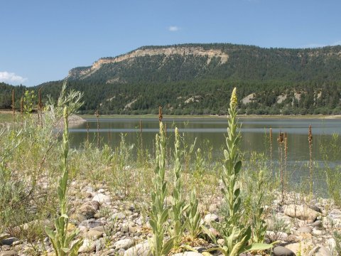 El Vado Lake State Park Is One Of The Most Scenic Places To Camp This Spring In New Mexico