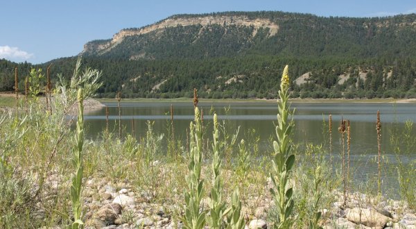 El Vado Lake State Park Is One Of The Most Scenic Places To Camp This Spring In New Mexico