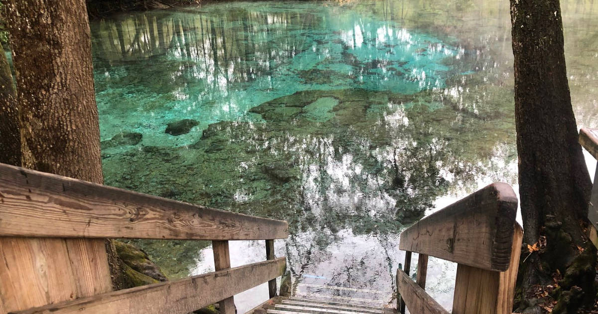 6 Crystal Clear Blue Lazy Rivers In Florida You’ll Want To Spend The Day Floating Down
