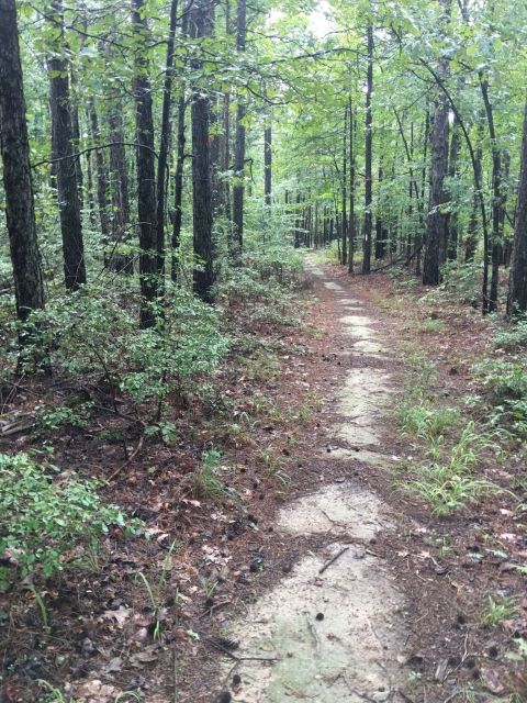 Shake Up Your Routine With A Hike Along Earthquake Ridge In Arkansas