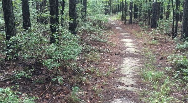 Shake Up Your Routine With A Hike Along Earthquake Ridge In Arkansas