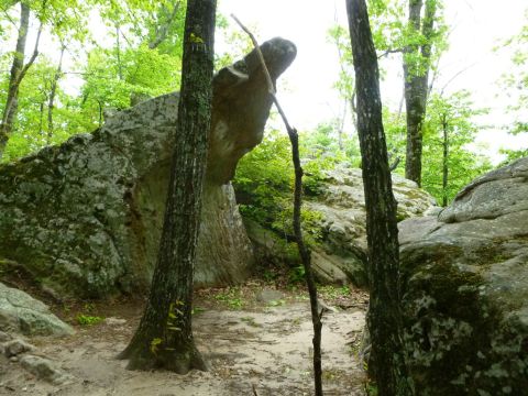 Take An Easy Loop Trail To Enter Another World At Ricketts Mountain In Arkansas