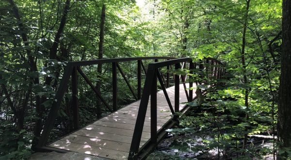 Take An Easy Loop Trail To Enter Another World At Limberlost Trail In Virginia