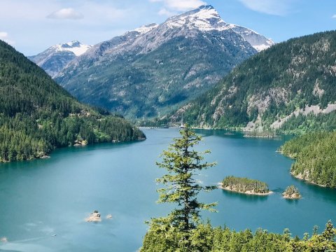 Beat Cabin Fever At This Scenic Washington Viewpoint Where You Can See For Miles