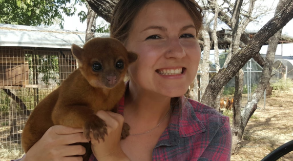 Cuddle With Kangaroos, Foxes, And Other Uncommon Critters At Janda Exotics Animal Ranch In Texas