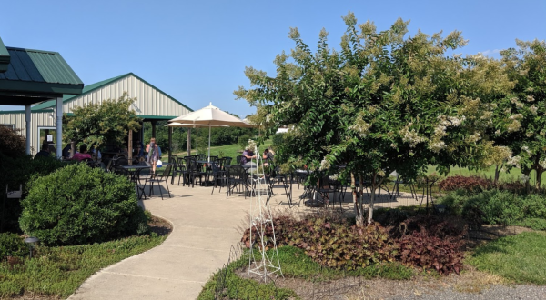 One Of The Most Scenic Spots To Enjoy A Beer Is Milkhouse Brewery, A Beautiful Gem In Maryland