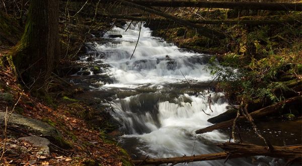 Take An Easy Out-And-Back Trail To Enter Another World At Stony Brook Falls In New Jersey