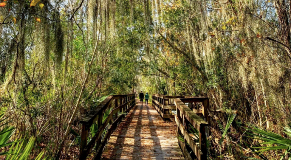 The Bayou Coquille Trail Near New Orleans Will Take You To A Beautiful Emerald Lagoon