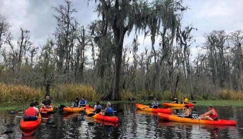 Kick Off Spring With A Kayak Tour Through The Swamps Near New Orleans