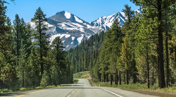 The 10 Best Backroads In Northern California For A Long Scenic Drive