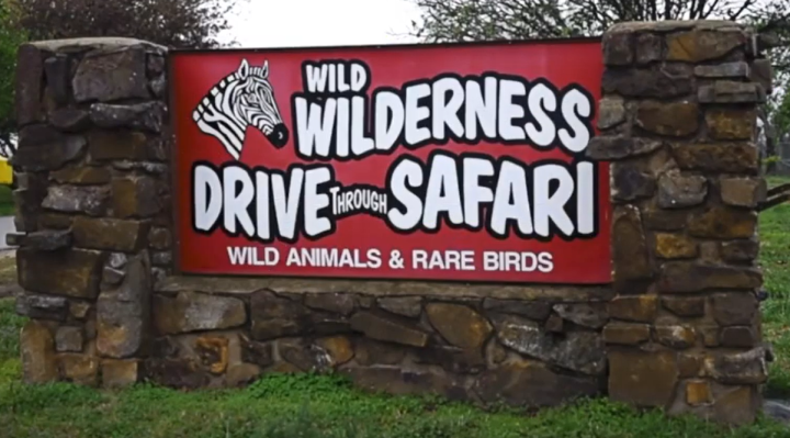 drive thru safari gentry