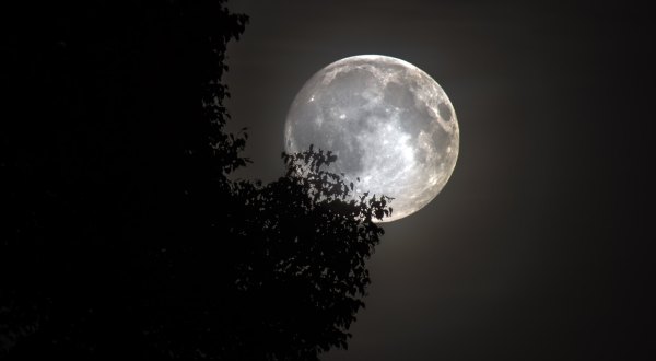 The Biggest And Brightest Full Moon Of The Year Will Be Visible In Kentucky In Early April