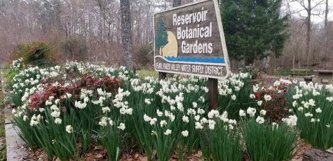 You’re Guaranteed To Love Reservoir Botanical Gardens, A Secret Garden In Mississippi