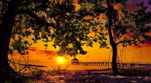 16 Incredible Photos Of Louisiana That Nature Lovers Will Adore