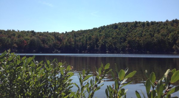 You May Never Want To Leave The Serenity Of North Pond In Massachusetts