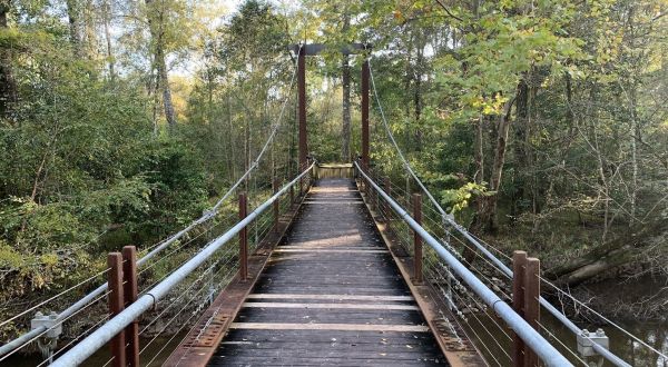 Take An Easy Loop Trail To Enter Another World At The River Trail In Louisiana
