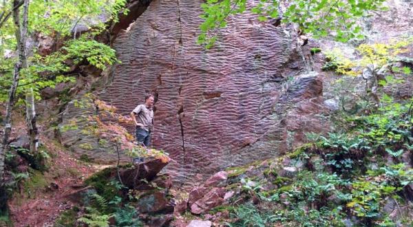 Walk Through 126 Acres Of Rock Formations At Wisconsin’s Ableman’s Gorge State Natural Area
