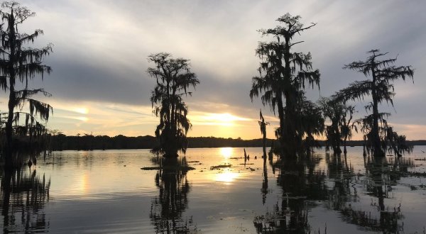 Here’s The Ultimate Bucket List For Louisianians Who Are Obsessed With Nature