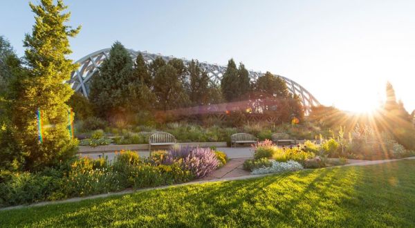 Take A Virtual Tour Through A Sea Of Hundreds Of Thousands Of Flowers With Denver Botanic Gardens In Colorado