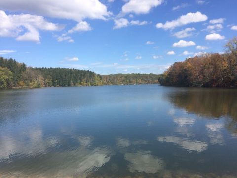 Peter's Trail Near Pittsburgh Will Take You On A Scenic Walk Through The Woods And To A Shimmering Lake