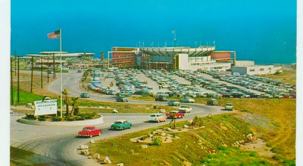 You Might Remember The Now Defunct Southern California Theme Park, Marineland Of The Pacific