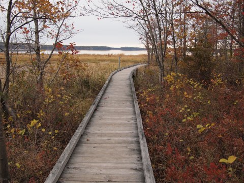 The Sandy Point Identification Trail In New Hampshire Leads To Incredibly Scenic Views
