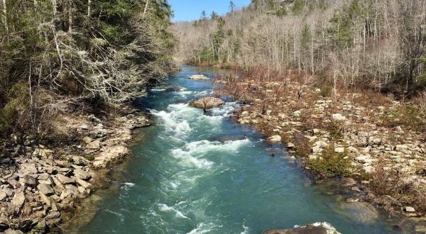 Follow The River On This Simple 4-Mile Hike Through The Woods In Tennessee
