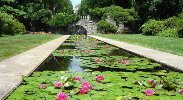 Explore 6 Of New Jersey’s Most Beautiful Gardens On This Virtual Road Trip