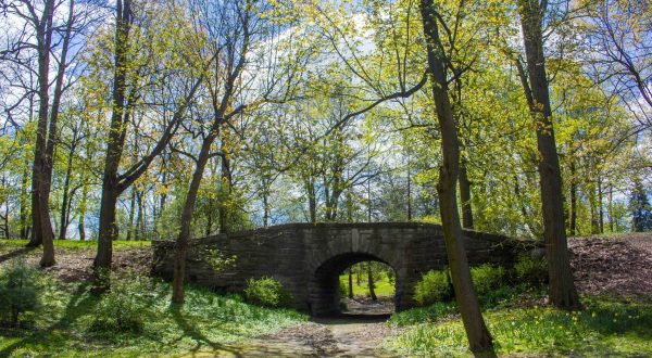 Unwind With A Stroll Through Buffalo’s Scenic Rumsey Woods In Delaware Park