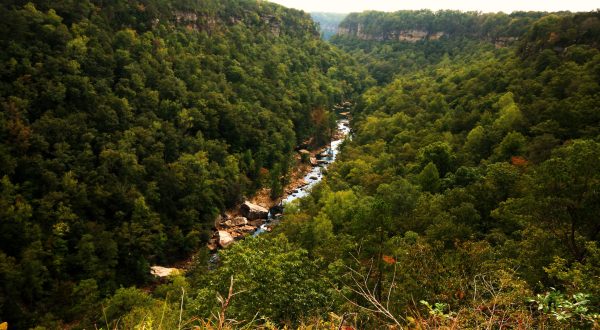 The Little Grand Canyon In Alabama Is A Big Secluded Treasure