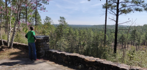 Tree Top Views Await You On The Backbone Trail In Louisiana