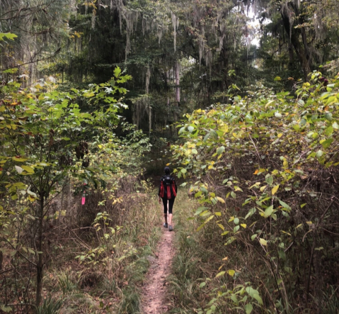Escape The Entire World On The Secluded Kincaid Loop Trail In Louisiana