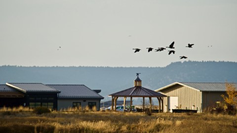 The Super Remote Modoc Wildlife Refuge In Northern California Is Home To An Abundance Of Waterfowl