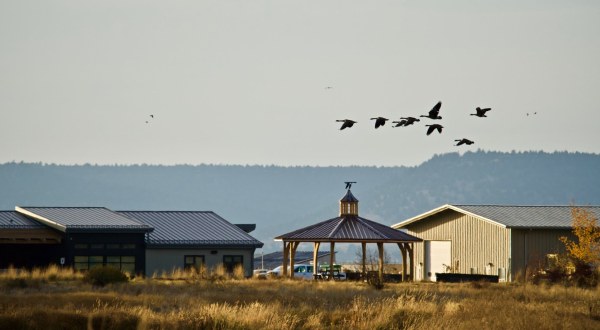 The Super Remote Modoc Wildlife Refuge In Northern California Is Home To An Abundance Of Waterfowl