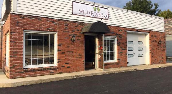 Wild Roots Eatery Serves Up Some Of The Freshest Food In Massachusetts