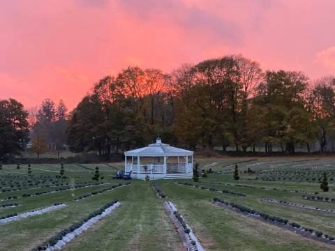 Get Lost In This Beautiful 14-Acre Lavender Farm In Rhode Island