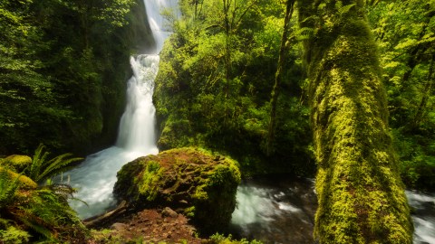 Bridal Veil Falls Trail Is A Beginner-Friendly Waterfall Trail In Oregon That's Great For A Family Hike