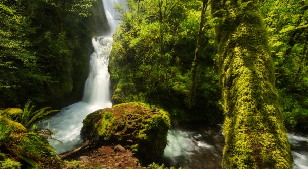 Bridal Veil Falls Trail Is A Beginner-Friendly Waterfall Trail In Oregon That’s Great For A Family Hike