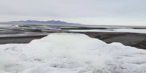 Rare Salt Formations At The Great Salt Lake Were Recently Discovered In Utah