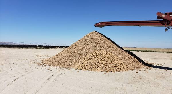 Cranney Farms In Idaho Is Giving Away 2 Million Potatoes So They Don’t Go To Waste