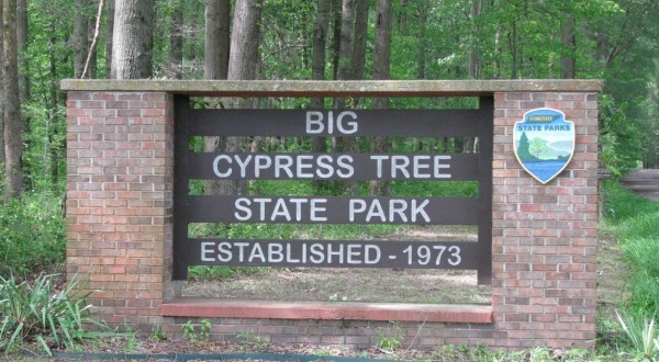 Big Cypress Tree State Park Is One Of The Most Secluded And Beautiful Hidden Gems In The State Of Tennessee