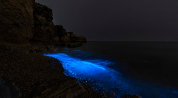 The Glowing Blue Waves At Tomales Bay In Northern California Are A Strange Natural Phenomenon