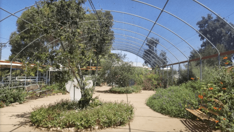 Butterfly Farms Of Southern California Is Home To The State's Largest Butterfly House