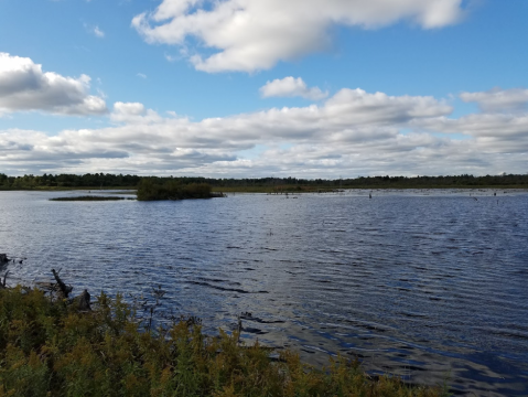 Tuttle Marsh Wildlife Area In Michigan Is A 5,000-Acre Wetland Wonderland