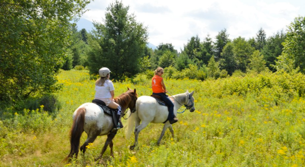 This Horseback Riding Experience In New Hampshire Offers Something New And Exciting To Try This Summer