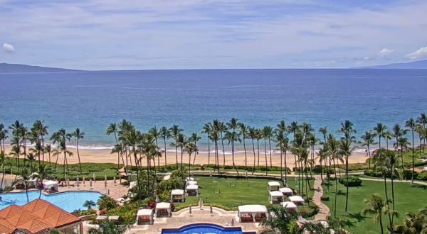 Experience True Hawaiian Paradise With These 8 Coastal Live Streams