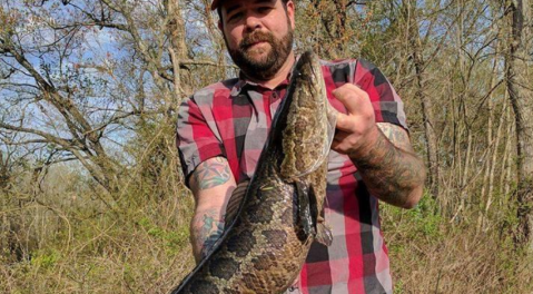 The Northern Snakehead Is Invading North Carolina And Here's What You Need To Know